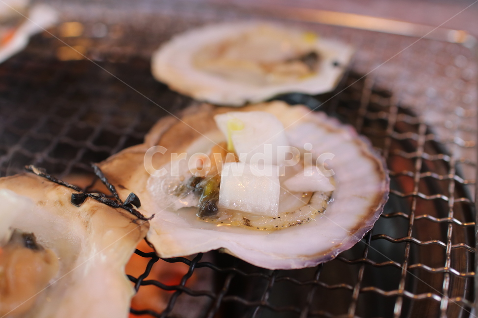 요리,음식,foodl,일식,가리비,조개구이,가리비구이,조개,해산물,외식,식사,food,음식,식재료,요리,food,cook,meal,dishes,food reserves