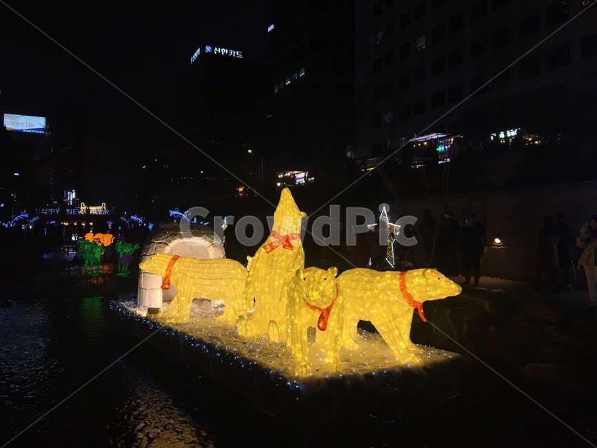 light,빛,서울라이트,전시,야경,청계천,네온,북극곰,neon,bear,축제