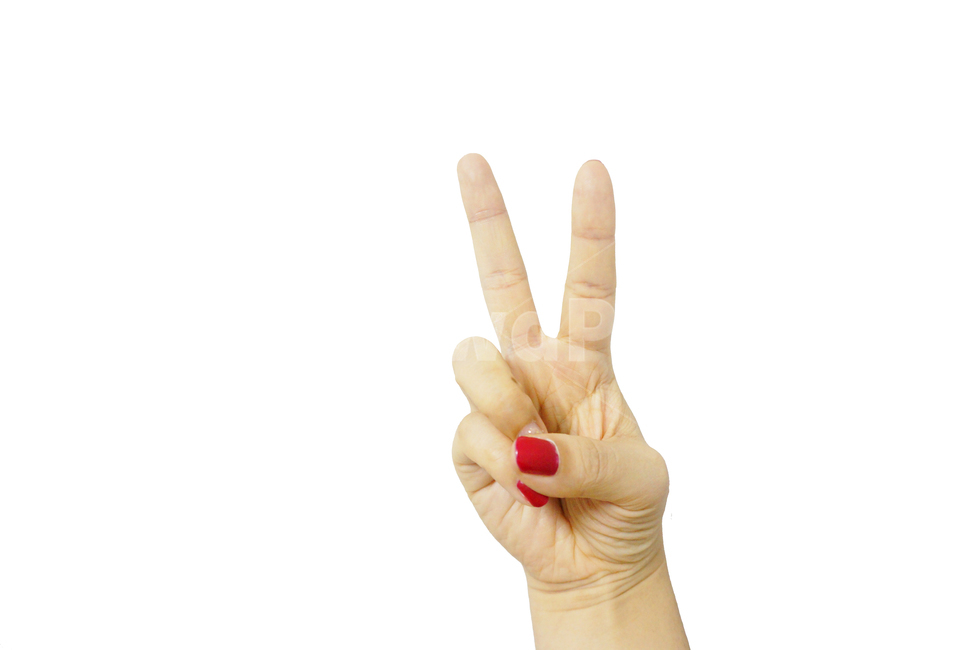 손가락,여자손,손,2,이,제스처,사람,인물,인간,human,person,신체일부,몸,body,손,제스처,표시,손짓,표현,gesture,hand,sign,expression,누끼,remove background