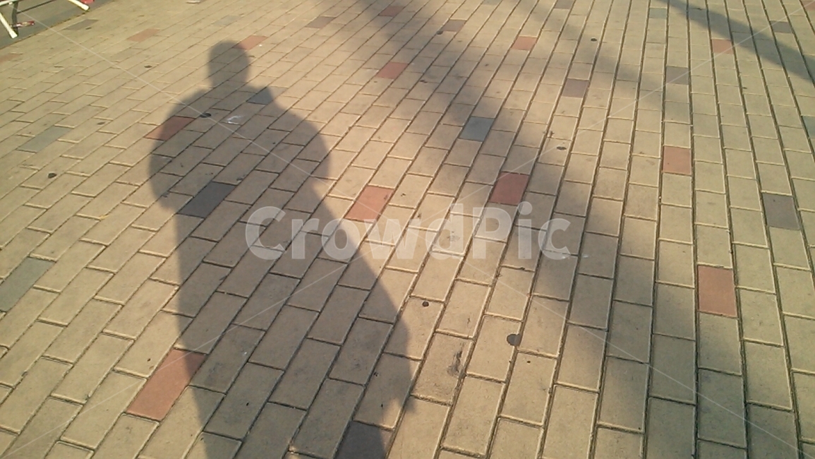 보도블럭,낮,그림자,shadow,day,precastpavers