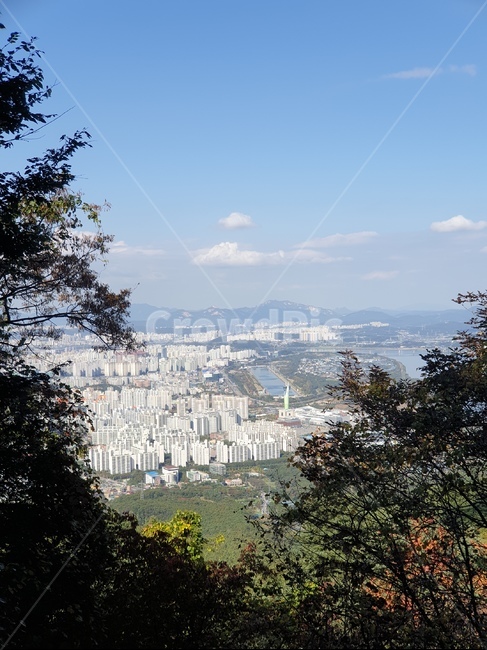 경치,풍경,tree,scenery,자연,nature,나무,산