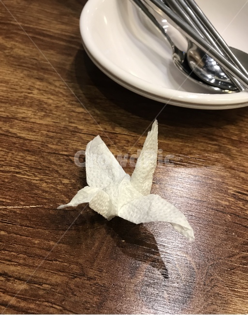 학,테이블,식당,그릇,부엌,table,papercrane,crane