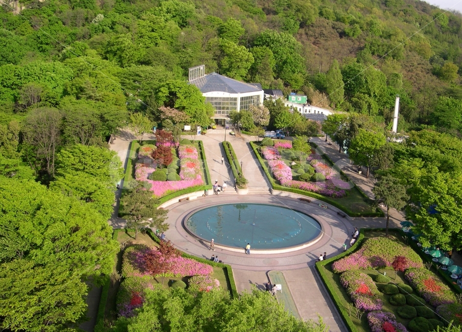공원,남산공원,남산,숲,산,park,자연,서울,명소,한국,랜드마크,landmark,tourist attraction