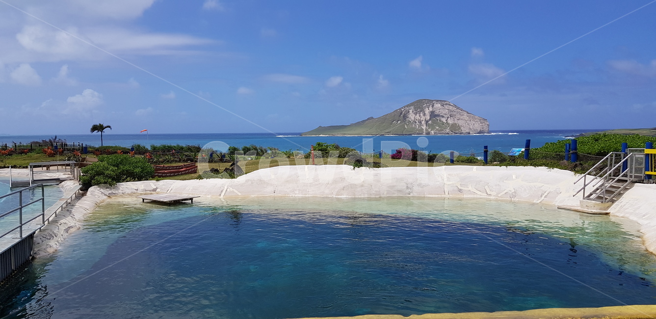 outdoors,옥외,land,땅,nature,자연,water,물,sea,바다,ocean,대양,shoreline,해안선,coast,연안,하와이,hawaii,honolulu,자연,풍경,nature,landscape