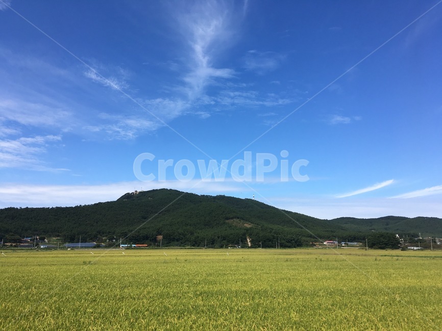 산,논,하늘,구름,평화,자연,풍경,nature,landscape,outdoors,옥외