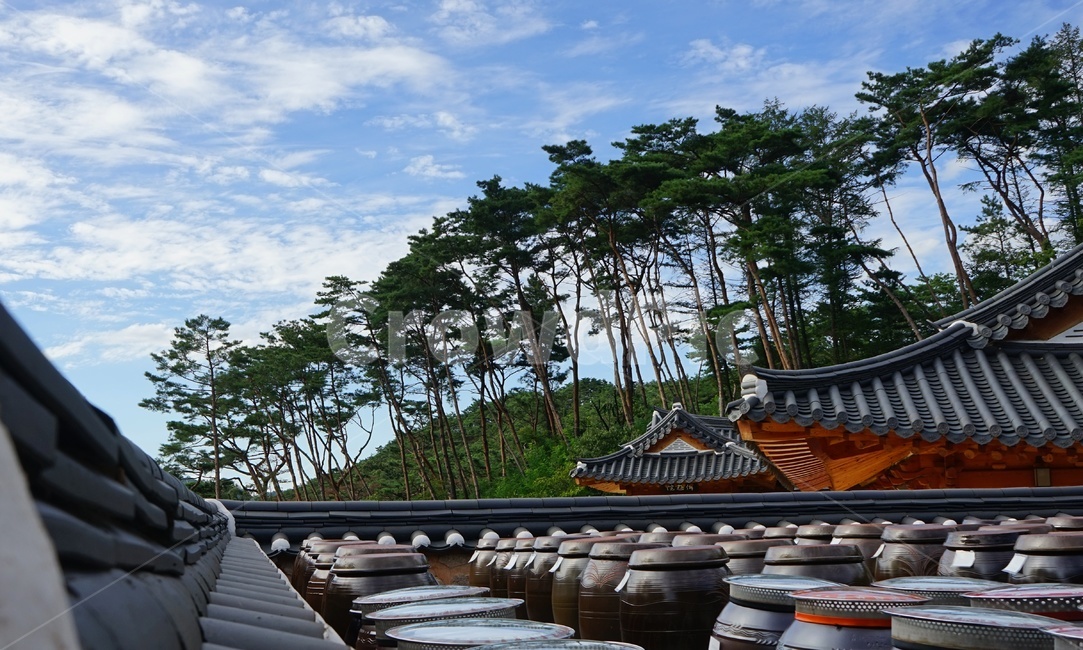 사찰,장독대,소나무,korea,templeofkorea,pinetree,jangdokdae,peace,soysauce,고추장,redpepperpaste,work,힐링,휴식,시원함,고요함,healing,relaxation,cool,calm,진관사,송림,한국전통건축,기와,비구니,도량,종교,불교,기와지붕,전통건축,기와집,지붕,전통,한옥,패턴,배경,전통적인,한국의,construction,한국전통,한국문화,koreantraditional,koreanculture,건축물외관,건물외,종교시설,배경사진,exterior,building,structure,architecture,장독문화,천년고찰,한국전통,한국문화,korean traditional,korean culture,건축물,건물외관,exterior,building,structure,architecture,construction