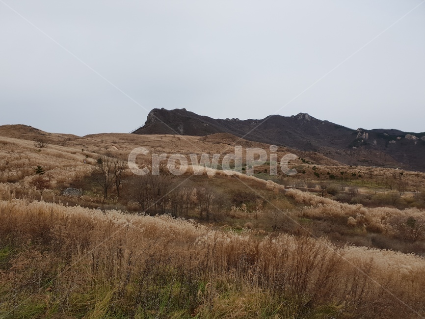 산,황매산,억새,구름,풍경,nature,자연,outdoors,옥외