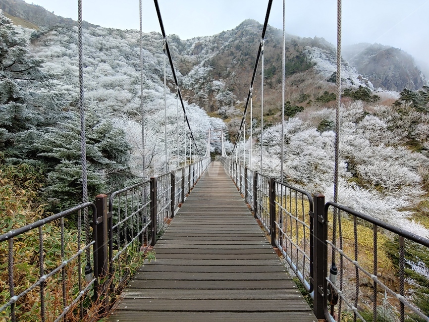 현수교,용진각,한라산다리,관음사다리,설경,다리,bridge,겨울,계절,winter,season,자연,풍경,nature,landscape,building,건물