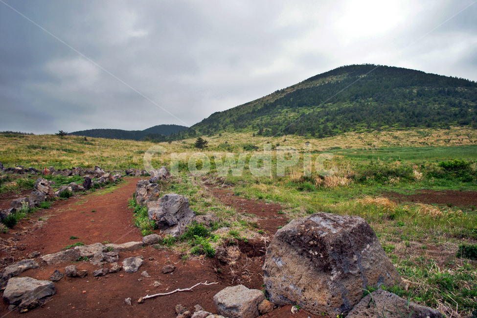 갑마장길,제주도,표선면,가시리,트레일,대록산,탐방로,자연,풍경,nature,landscape,한국자연풍경,한국자연경관,korea nature landscape,제주도,jeju,jeju island