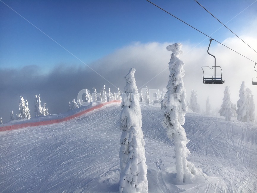 스키장,ski,slope,snow,눈,장관