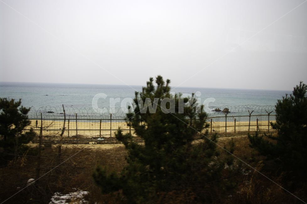 풍경,자연,나무,하늘,바다,nature,tree,plant,철조망