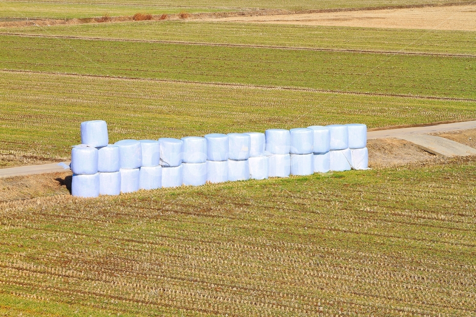 베일러,공룡알,마시멜로,원형베일,원형베일러,시골,마을,풍경,landscape,country,rural,town,산업,industry,industrial,농업,농사,agriculture,farming,farming industry