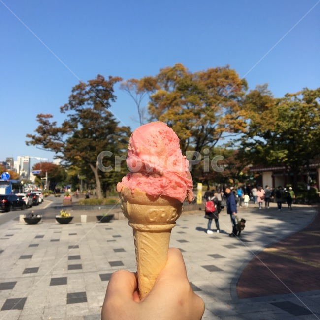 food,dessert,디저트,아이스크림,icecream,여름,젤라또,gelato,디저트,간식,후식,dessert,snack