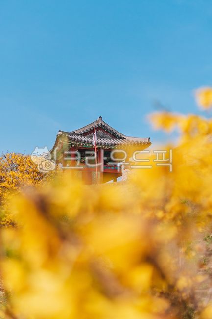 spring,forsythia,unesco,Suwon Hwaseong Fortress,Northwest Tower