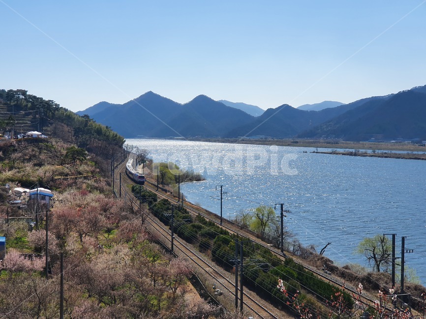 transportation,교통,rail,레일,철도,railway,기찻길,traintrack,nature,자연,outdoors,옥외
