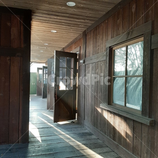 wood,바닥,floor,flooring,hardwood,견목,나무,빛이들어오는,빛