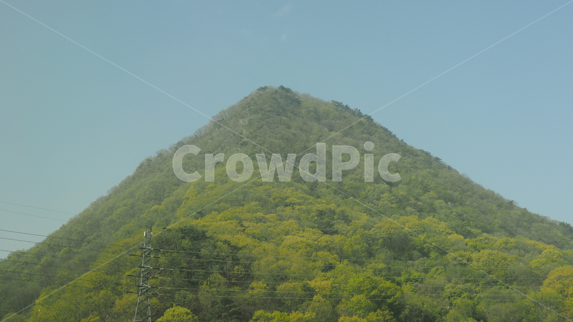 산,산등성이,숲,풍경,자연