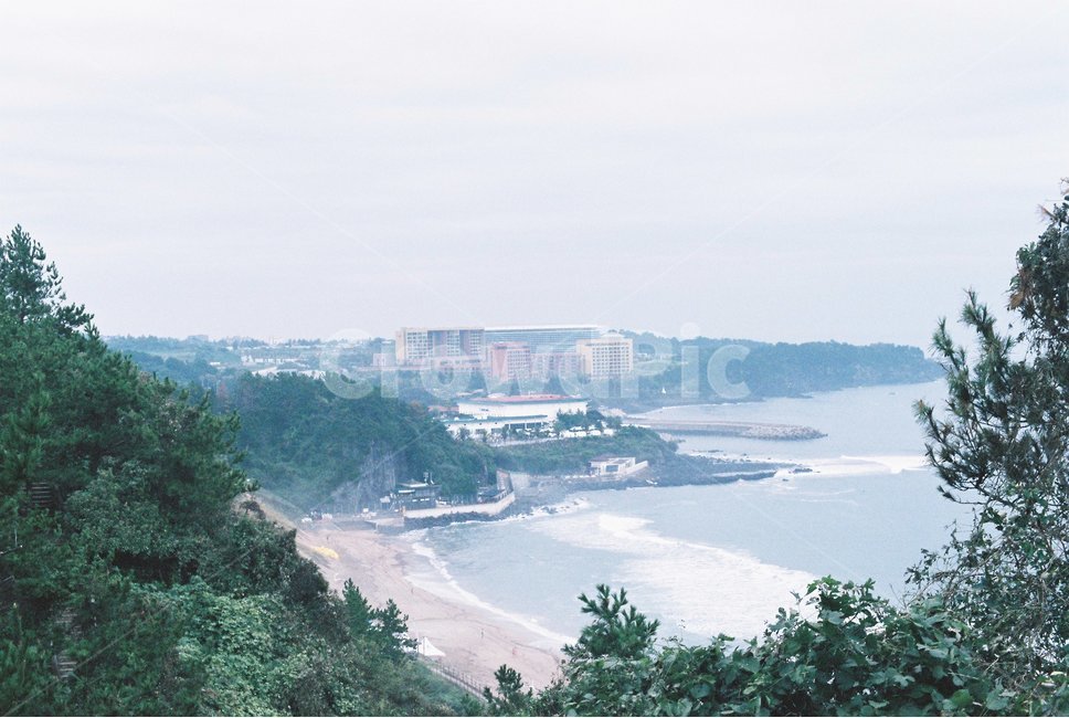 바다,나무,파도,하늘,제주도,자연,풍경,nature,landscape,한국자연풍경,한국자연경관,korea nature landscape,제주도,jeju,jeju island,감성,sensible,feeling,promontory,곶,shoreline,해안선,water,물,outdoors,옥외,sea,ocean,대양,land,땅
