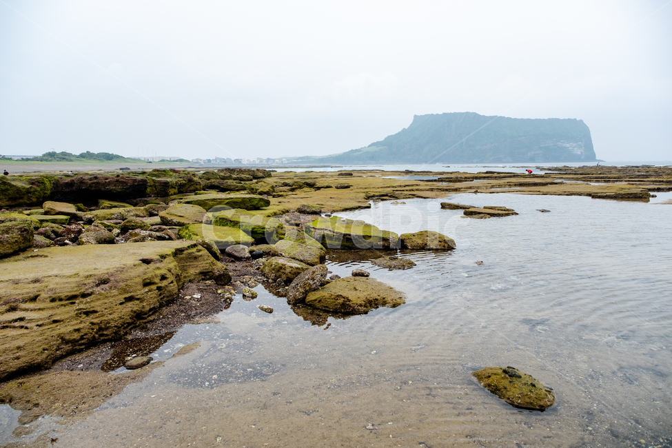 자연,제주,제주도,섬,jeju,풍경,아름다운풍경,land,땅,nature,outdoors,성산일출봉,물,바다,해변,광치기해변,돌,이끼