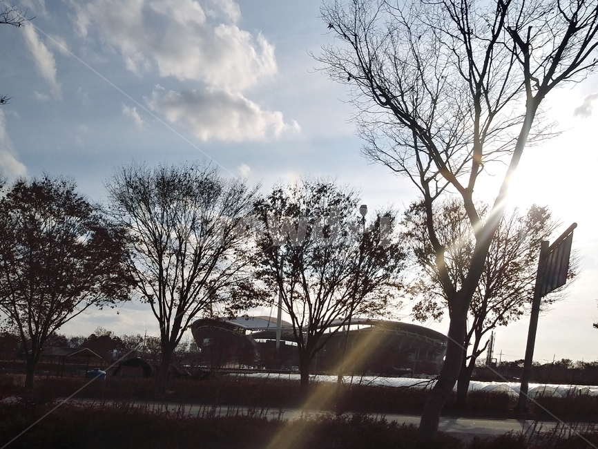 나무,나뭇가지,빛,구름,하늘