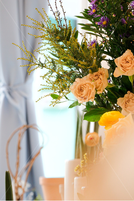 꽃,plant,식물,flower,blossom,장미,실내용화초,화분,화초,house plant