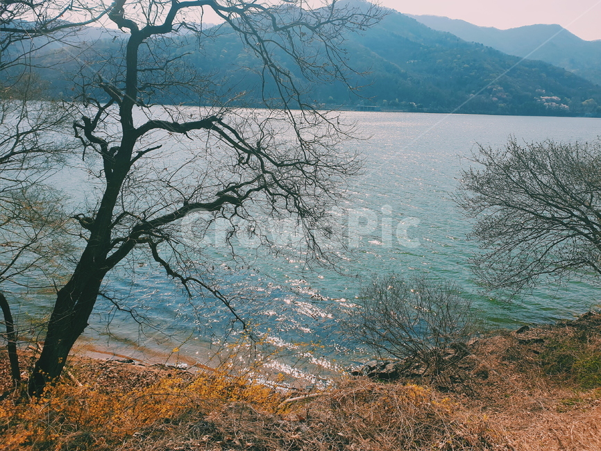강,자연,힐링,청량함,산,자연,풍경,nature,landscape,tree,나무,plant,식물,outdoors,옥외