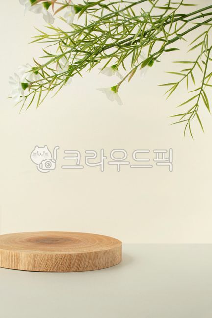 template,studio,pedestal,Fresh,award stand,horizontal composition,advertising,Flowers,Natural,space,empty,presentation,Leaves,interior decoration,Plant,award,Out of Focus,copy space,Tree,wood,stand,exhibition,Nature,business,Branches,display,Closeup,Deco,