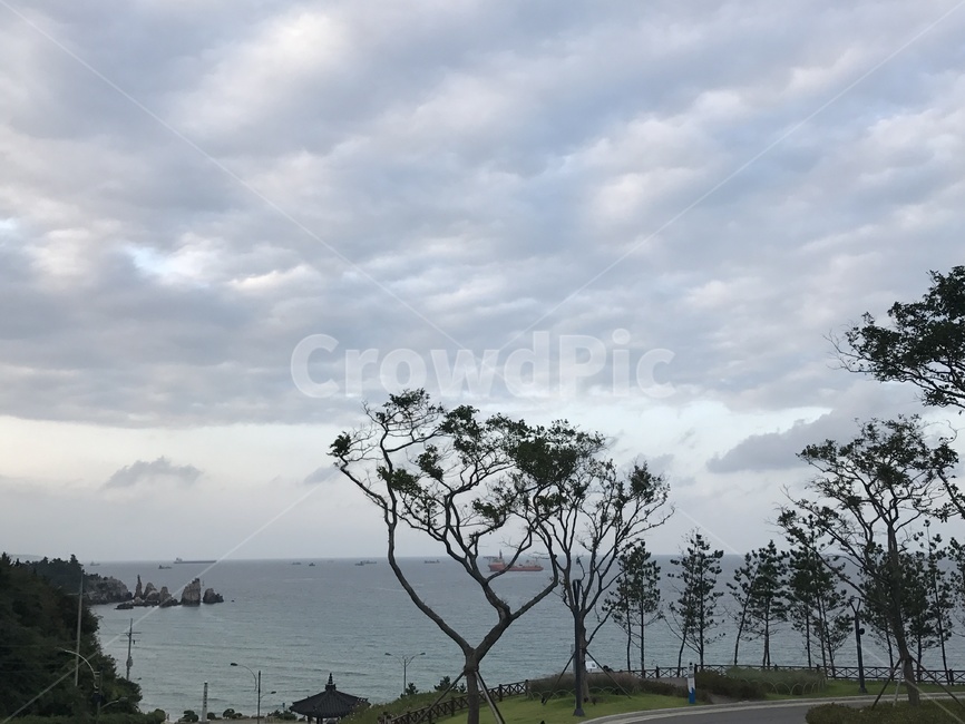 바다,파도,정동진,정동진길,동해바다