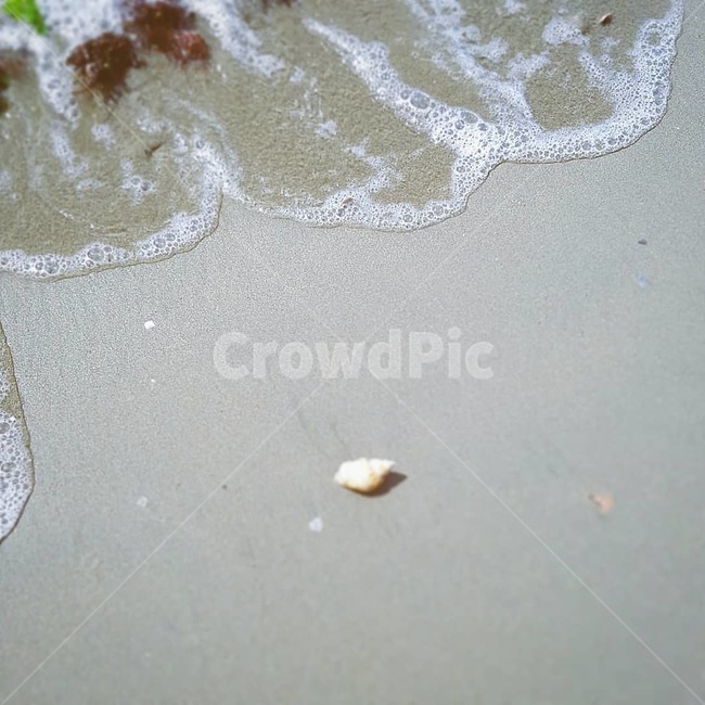 바다,해변가,물거품,풍경,소라,sea,ocean,shell,감성,water,bubble,해변,바다,beach,sea