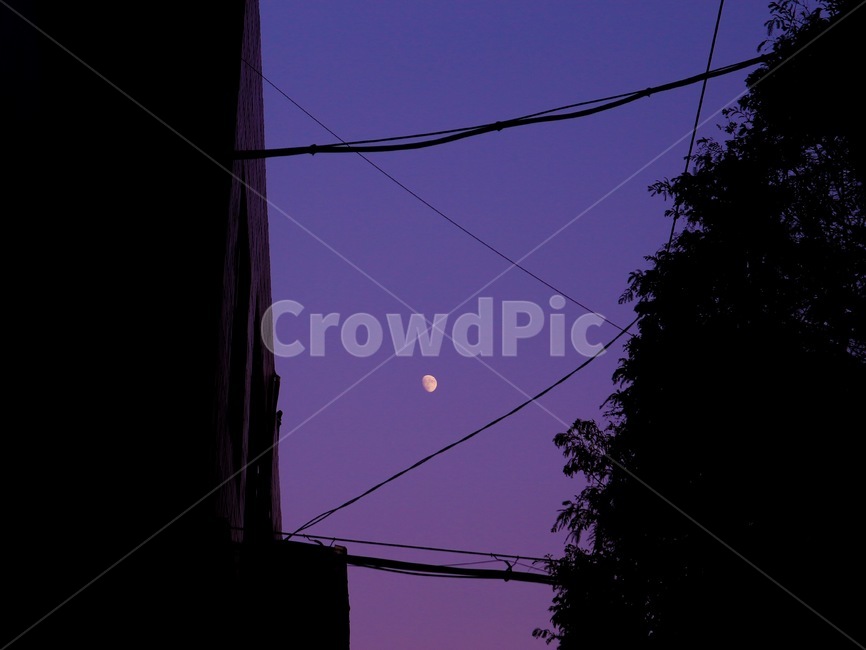 감성,하늘,보라,몽환,달,야경,밤,풍경,nightscape,night,landscape,도시,city,실루엣,그림자,silhouette,shadow,감성,sensible,feeling,건축물,건물외관,exterior,building,structure,architecture,construction,nature,자연,outdoors,옥외