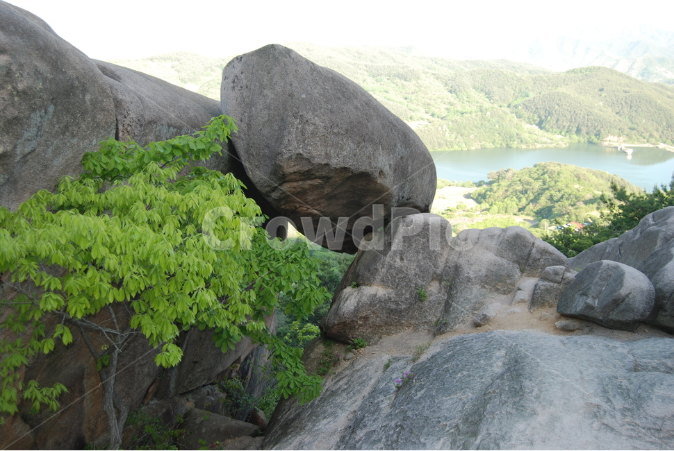 감암산,합천군,봄,바위,공원,자연,풍경,nature,landscape,한국자연풍경,한국자연경관,korea nature landscape,plant,식물,moss,이끼,slate,슬레이트,vegetation,초목,outdoors,옥외,rock,록