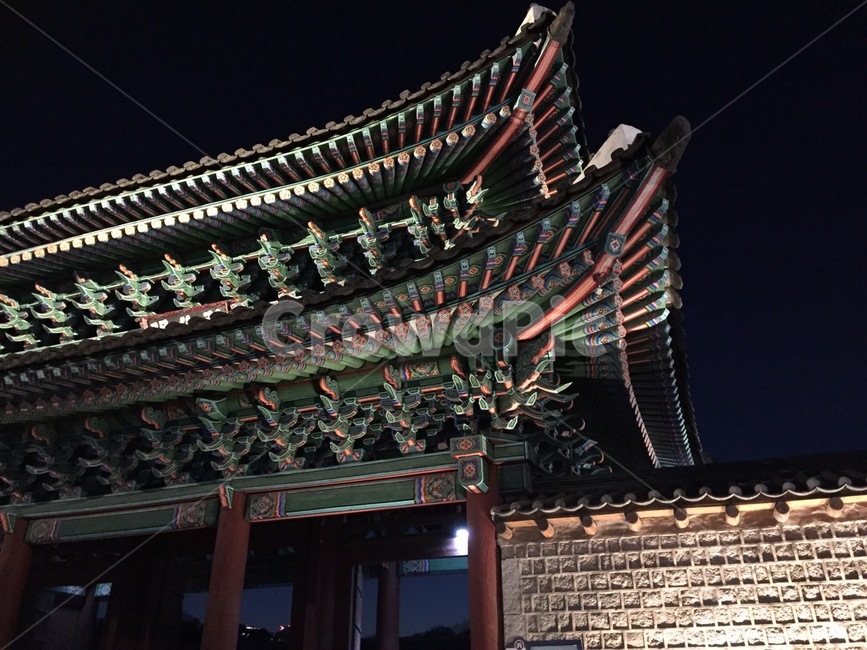 창경궁,기와,소나무,야간,조명,changgyeonggungpalace,rooftile,pinetree,night,lighting,2층,thesecondfloor,야경,밤,풍경,nightscape,night,landscape,랜드마크,landmark,tourist attraction,한국랜드마크,한국관광지,한국명소,korea landmark,korea tourist attraction,architecture,건축물,building,건물,worship,예배,shrine,신사,pagoda,탑