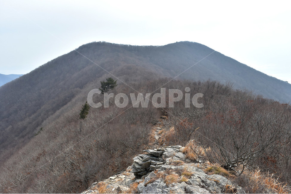 거금도,적대봉,풍경,바다,사진,섬,자연,물만내,오천리,서촌마을,김양식장,해안,힐링,감성,조망,전망,바위,봉수대,트레킹,등산,산행,비경,아름다운,절경,암릉,억새,겨울,겨울,계절,winter,season,자연,풍경,nature,landscape,한국자연풍경,한국자연경관,korea nature landscape,outdoors,옥외