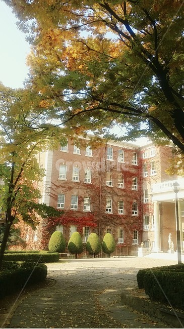 건출물,가을,단풍,building,tree,가을,계절,fall,autumn,season,건축물,건물외관,exterior,building,structure,architecture,construction,city,시티,town,도시,high rise,고층 건물,urban,어반,건물