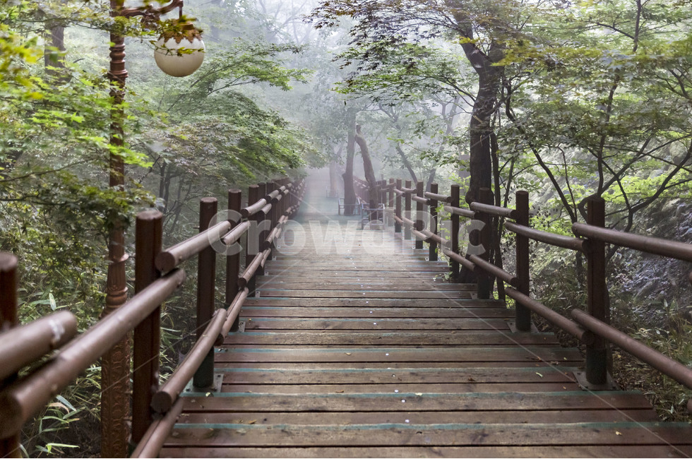 산책로,가을,풍경,낙엽,단풍,나무계단,가로등,감성,숲속길,힐링