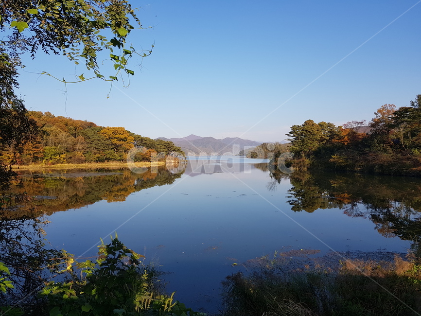 두물머리,양수리강변,두물머리가을단풍,가을단풍,북한강,남한강,두물머리강변