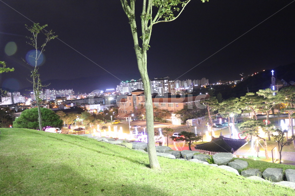 나무,잔디,grass,plant,야간도시,도시야간불빛