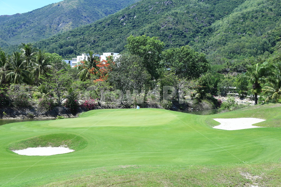 field,들,자연,골프,골프코스,nature,golf,golfcourse