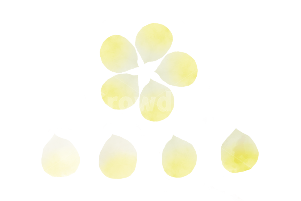 꽃,생화,수채화,일러스트,removebackground,스티커,누끼,누끼,remove background