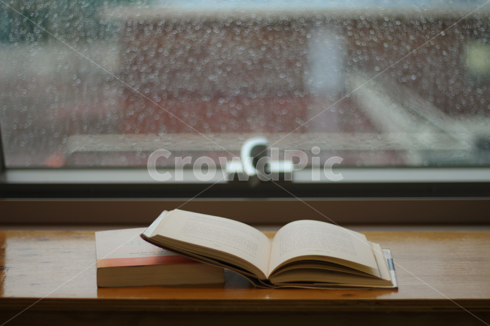 book,도서,가을,fall,autumn,유리,glass,감성적인,집중,비,비오는날,rain,rainy,교육,학교,공부,education,learning,study,school