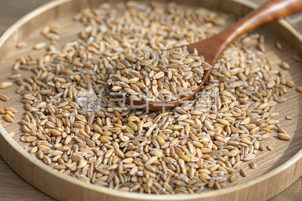 파로,곡물,곡류,통곡물,고대곡물,파로쌀,음식,grain,엠머,엠머밀,엠머파로