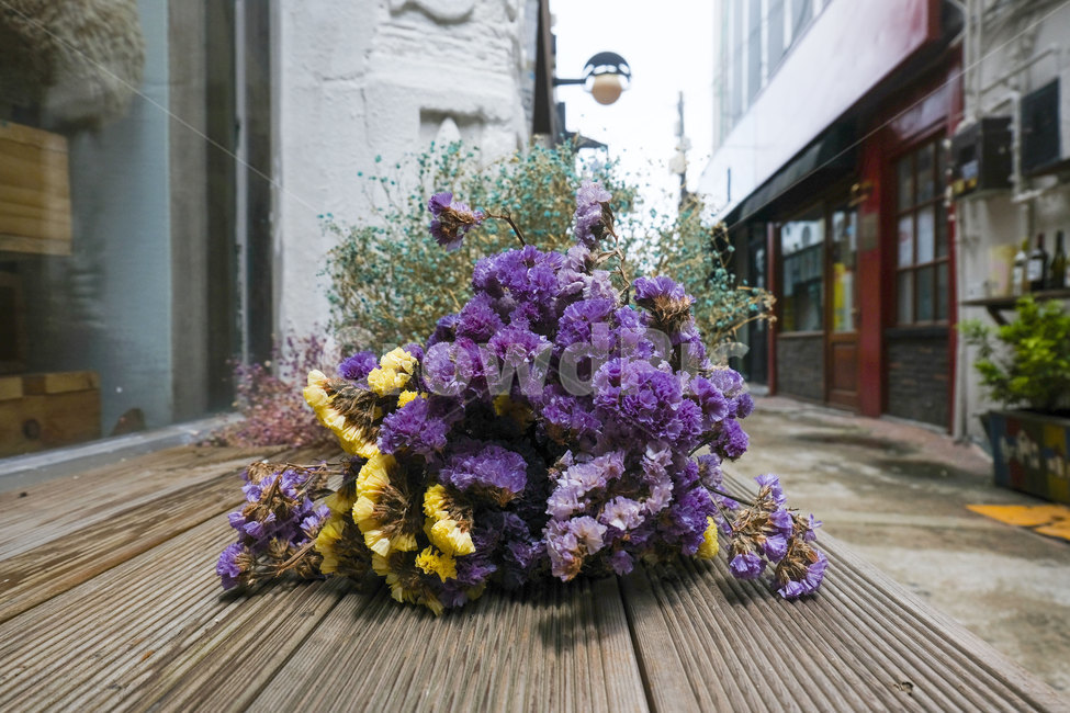 꽃,꽃다발,식물,flower,plant,bunch,bunchofflower