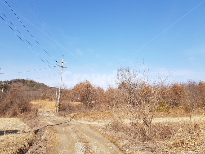 시골,풍경,추억,바람,자연