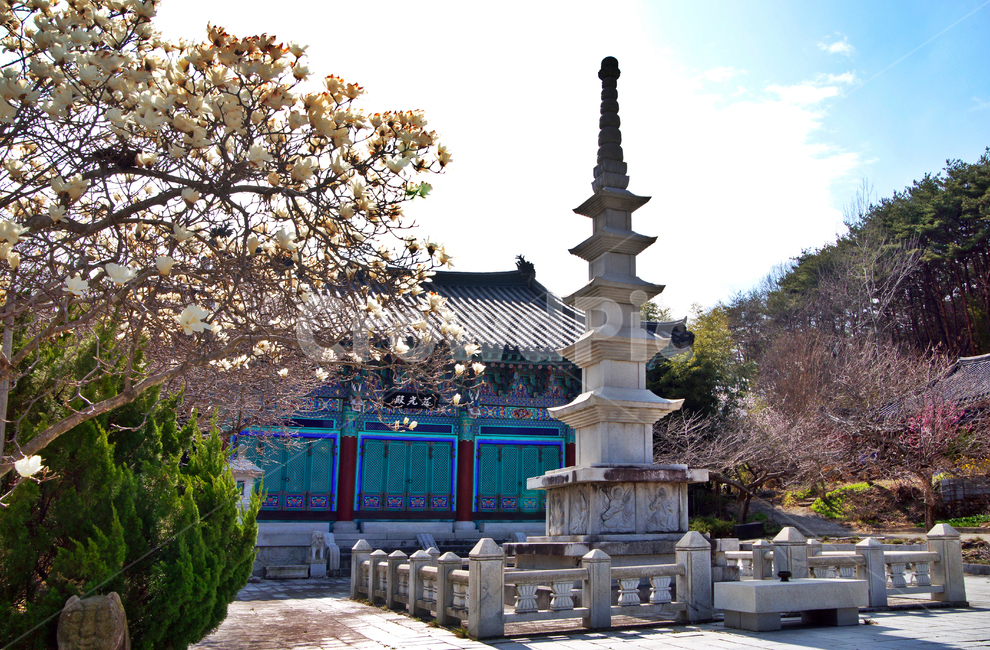 봄,양산,관음암,5층석탑,대웅전,사찰,불교,석탑,조각상,동상,석상,조형물,statue,bronze statue,stone statue,종교,신앙,religion,belief,faith
