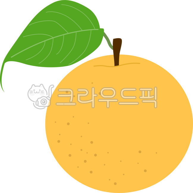 배, pear, 배일러스트, 과일, fruit, 사진,이미지,일러스트,캘리그라피 - 안갱작가