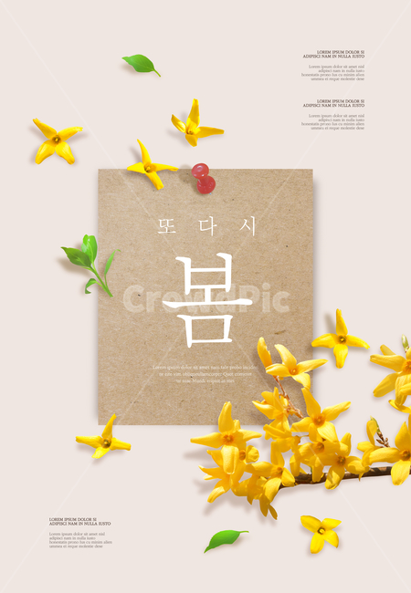 개나리,꽃,꽃잎,프레임,봄,감성,봄,계절,spring,season,꽃,flower,그래픽,일러스트레이션,graphic,illustration