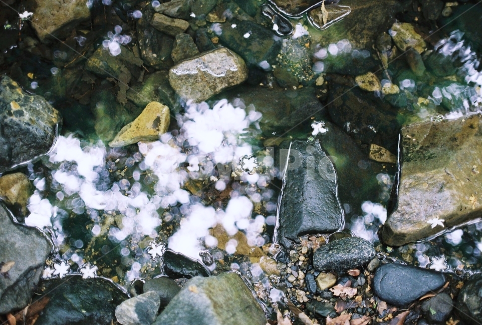물,연못,나무,나뭇가지,반영,햇살,반짝반짝,감성,산,필름,filmphoto,film,풍경,자연,풍경,nature,landscape,rubble,파편