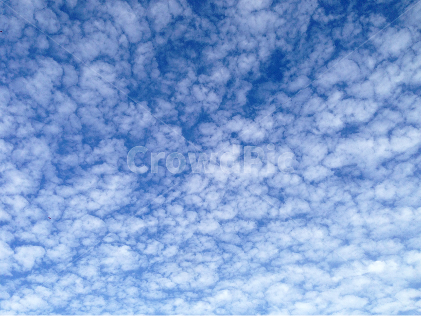 하늘,구름,솜털구름,파란색,하얀색,여름하늘,자연,풍경,배경,하늘색,sky,cloud,nature,landscape,blue,white