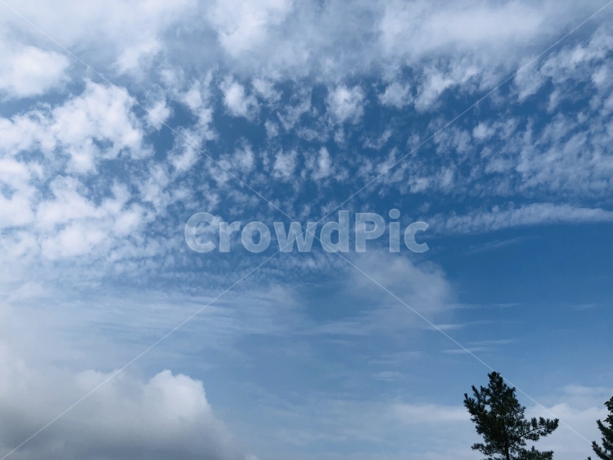 nature,자연,하늘,구름,sky,cloud,자연,풍경,nature,landscape,outdoors,옥외