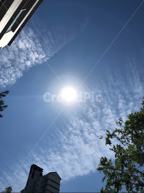 flare,플레어,light,빛,sunlight,햇빛,태양,구름,신기한구름